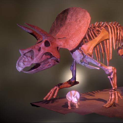 Triceratops preview image